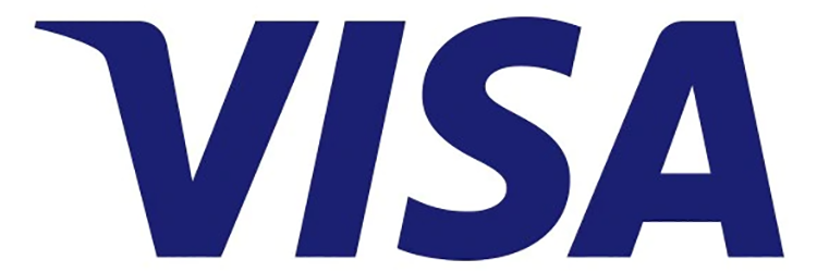 Visa logo standard interchange